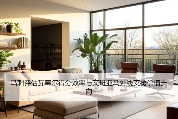 马刺评估瓦塞尔得分效率与文班亚马外线支援价值走向